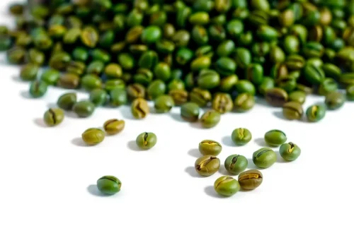 커피콩 클로로겐산, 인슐린 저항성 개선 가능성 6 example 199