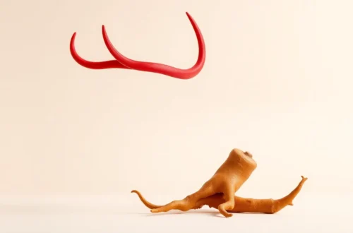 녹용 홍삼 궁합, 보약 효과 제대로 보는 법 35 example 166