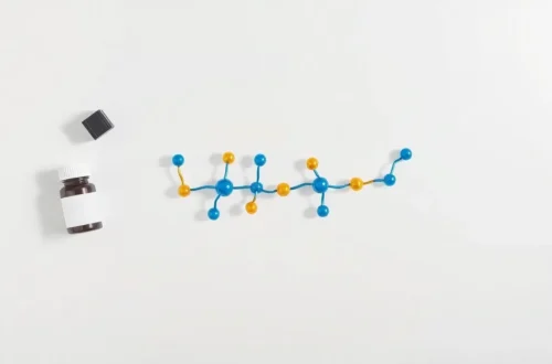 근감소증 예방! 류신 섭취 타이밍 7 example 41