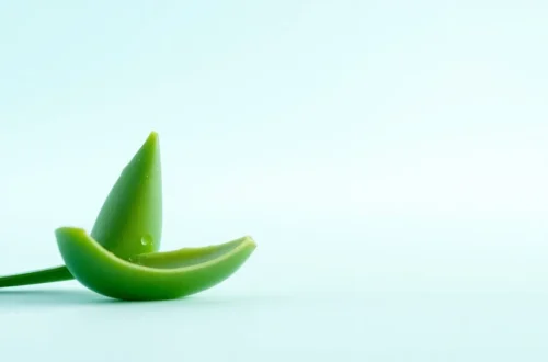 환절기 피부 건조, 보습 관리법 3가지 7 example 119