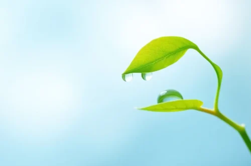 만성 피로 극복! 활력 되찾는 꿀팁 35 example 147