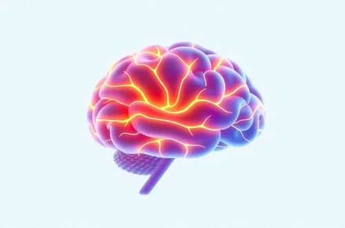 집중력 높이는 꿀팁: 학생들을 위한 뇌과학 방법 46 example 27